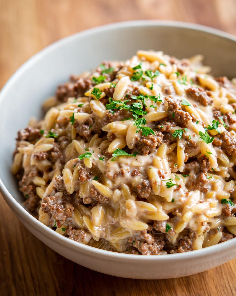 Nahaufnahme von Hackfleisch-Orzo in Sahnesauce, garniert mit frischer Petersilie in einer hellen Schüssel.