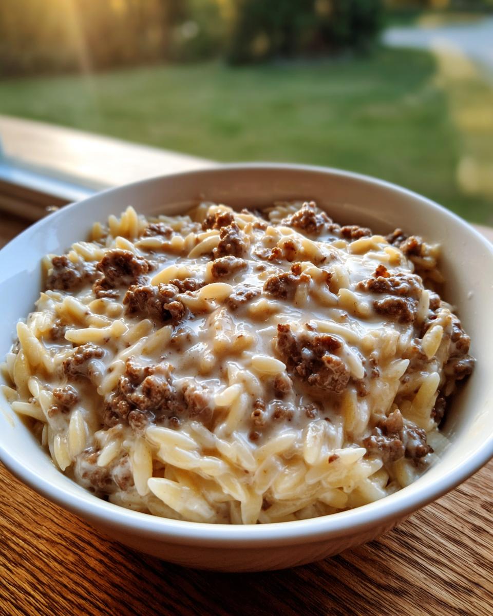 Eine cremige Portion Hackfleisch-Orzo in Sahnesauce in einer weißen Schüssel auf Holz.